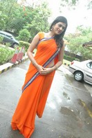 Actress Shraddha Das Saree Photos